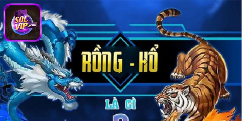 Tổng quan về game Rồng Hổ SocVip cực hot hit